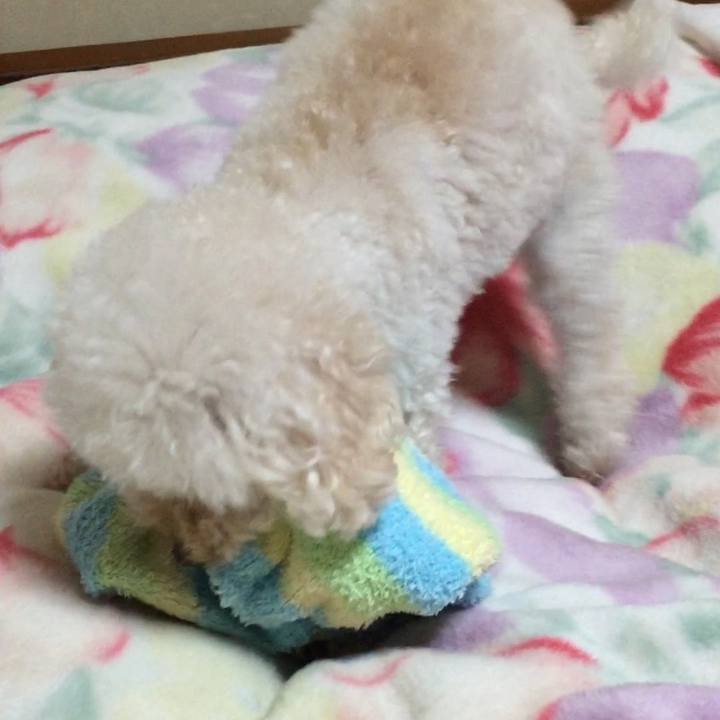 4bef2f98 e605 4ba4 b277 e07ccb2d3368