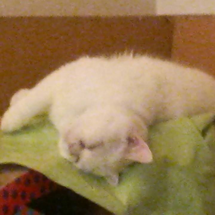 4bf049fe 6bdb 4279 ab47 155511d23003