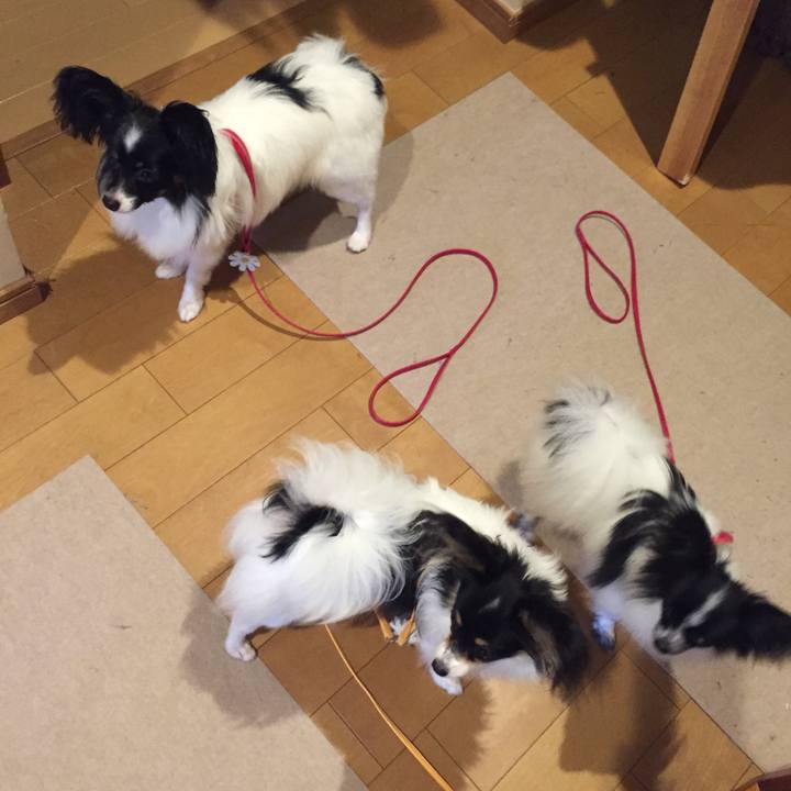 4bf06167 d0a5 48d4 b1f0 94b1f6dfdd13