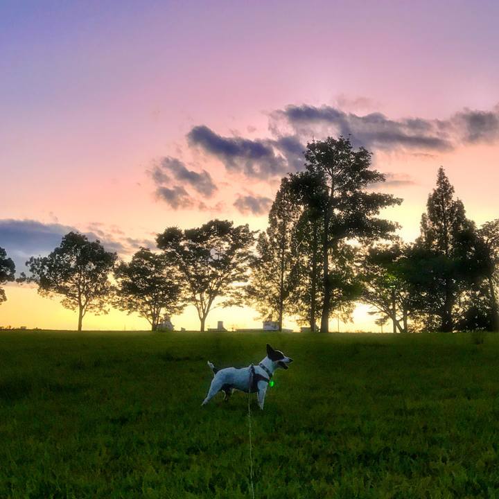 4bf08f14 df5d 40b6 8209 187c4fd394b0