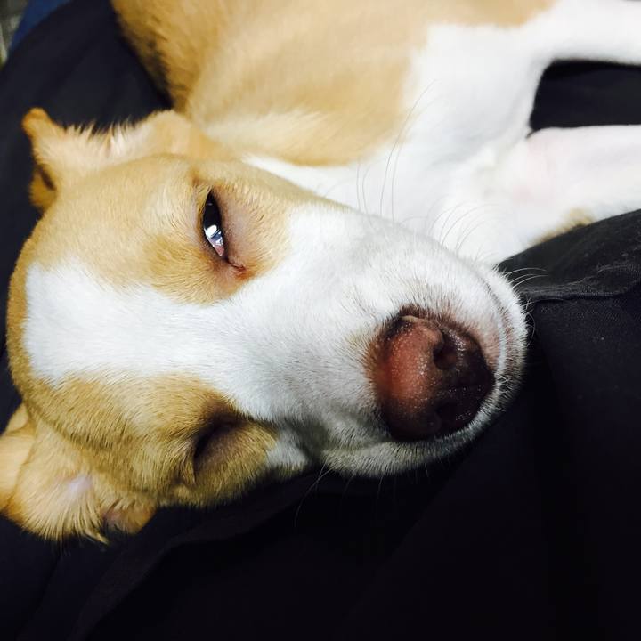 4bf0c32d eed5 4aa6 9a69 1e231848530e