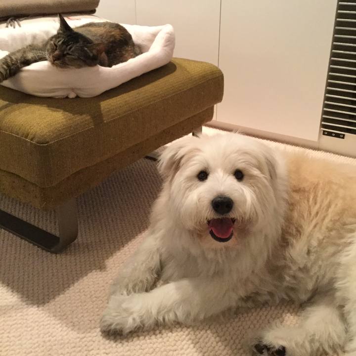 4bf0c502 59c7 46d9 8680 efbce55f0929