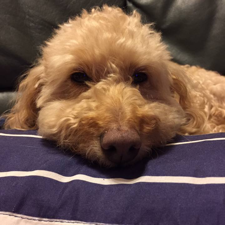 4bf0ce87 430a 4c7c 8068 a5bcf3879083