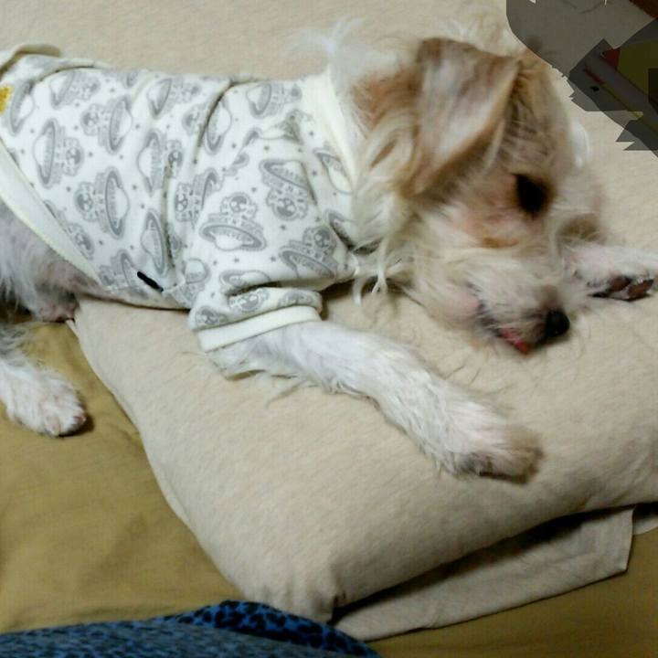 4bf10556 b208 4b2c 9303 216175c05755