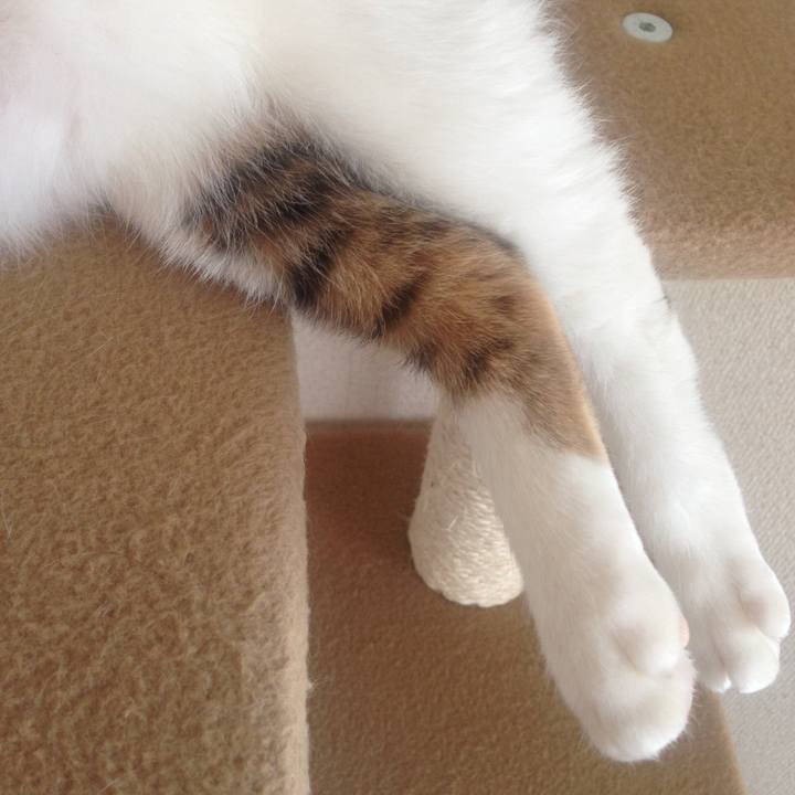 4bf2a8b8 fe18 4ab0 8af1 da5817d7ea8c