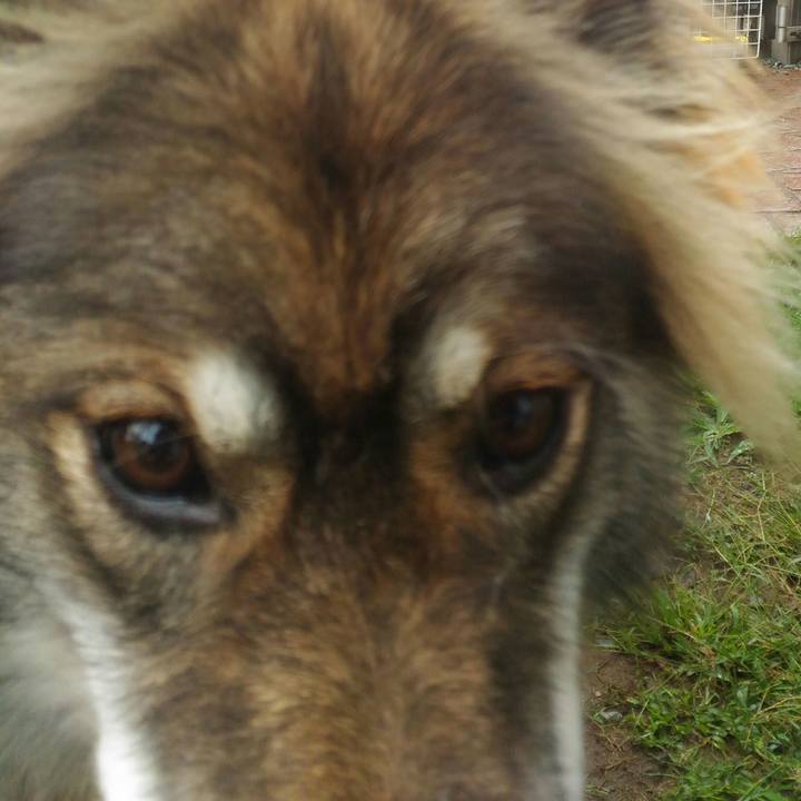 4bf3235e 9ff8 4d1b 8fbf f38e10ce4d44