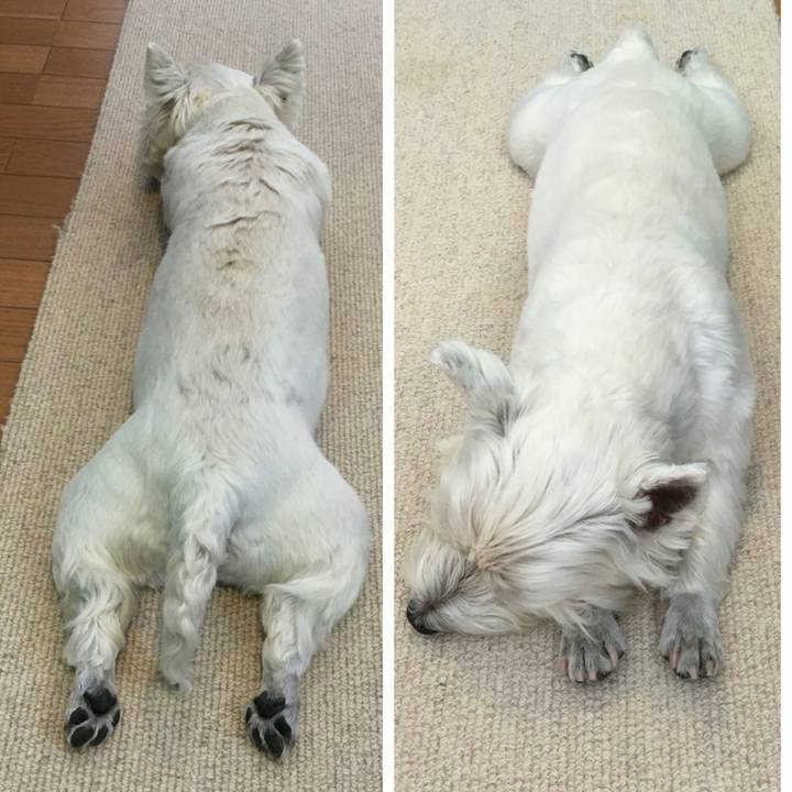 4bf327c8 24c9 4fcc aa61 721c768ebdae