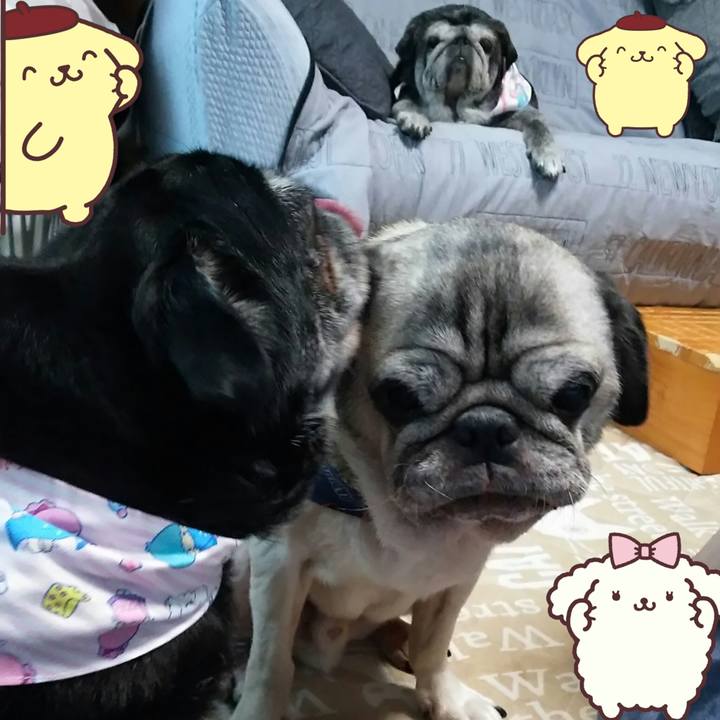 4bf629fa d43d 4f9b aeb5 319430b129cb