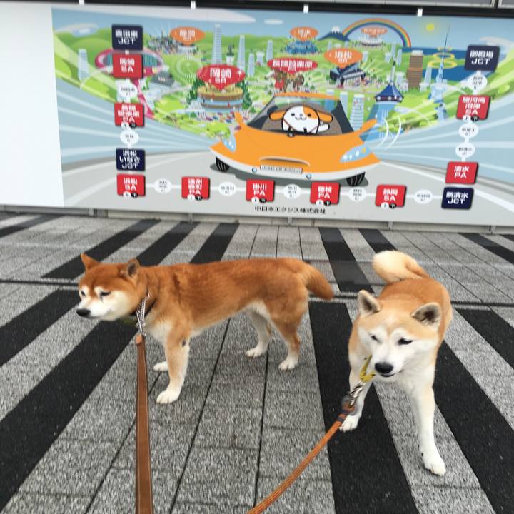 4bf672bc 877c 4cd5 b7da 2975efde791e