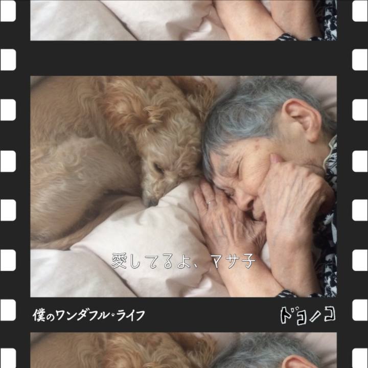 4bf72c8e 4914 4407 8de8 f7b5229bc75d