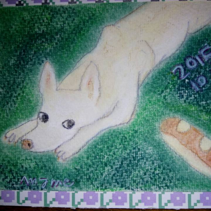 4bf73444 fa02 40c1 a225 144b6d57ca57