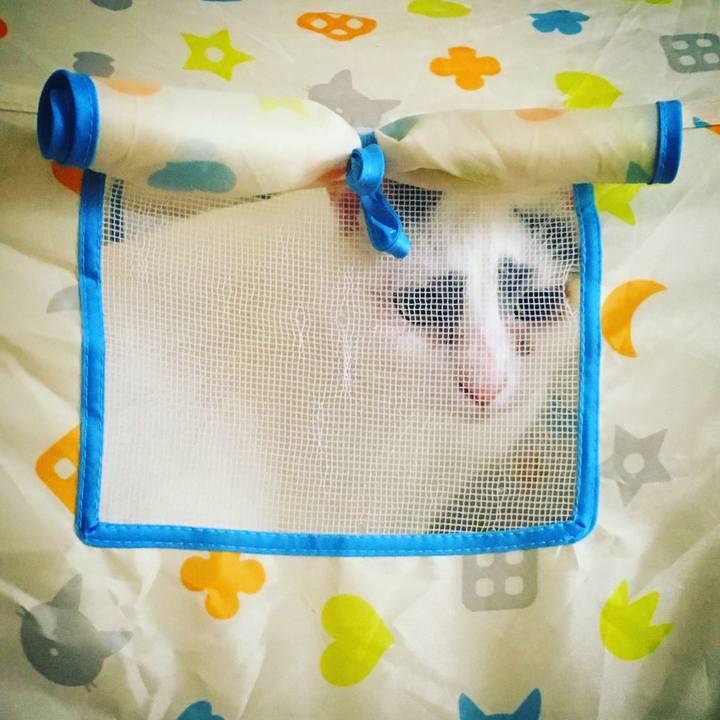 4bf76b77 099c 4672 af7e 0950d0063abd