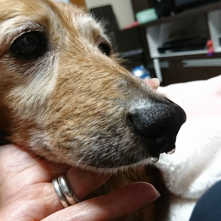 4bf85fd0 25cf 46ac 82f8 48caa1681cce