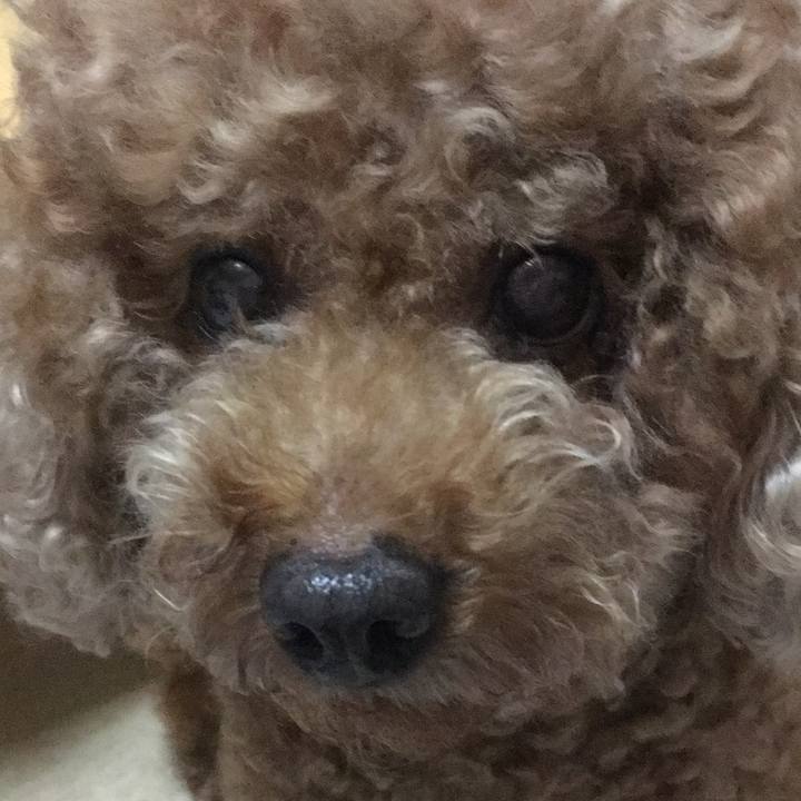 4bf92e69 f2f1 4d39 987a b65c16d6ed4c