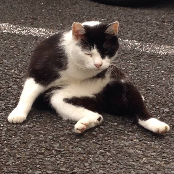 4bf9ec94 2b7b 481c 9080 50d7f62662dc