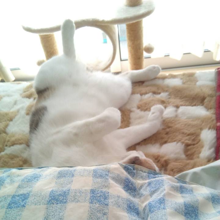 4bf9f5fe 4fff 48b8 9995 e191cd3cfe65