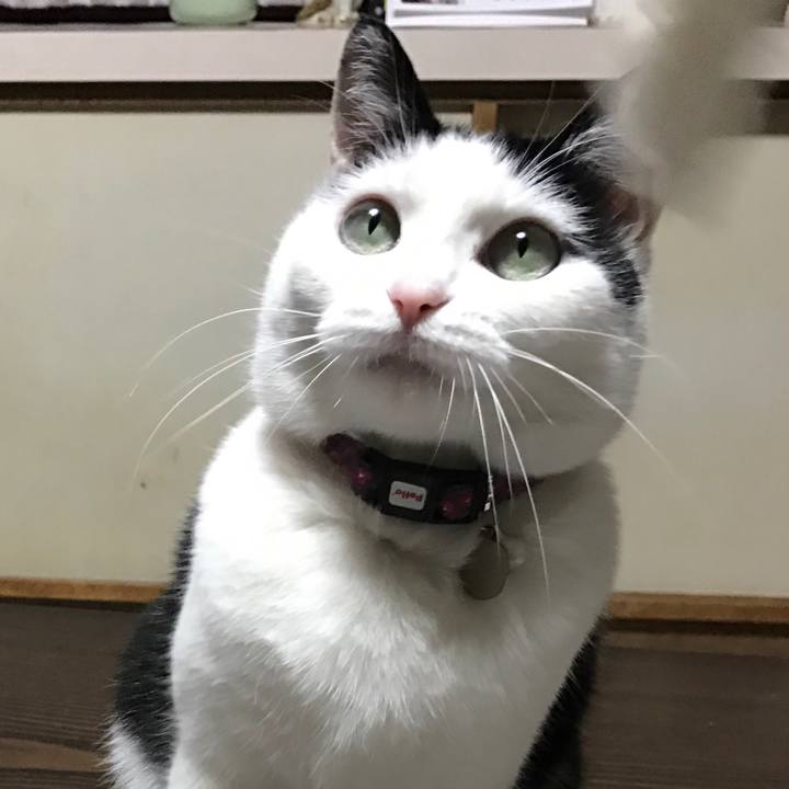 4bfa153a 266b 413c b9cc c536a7475583