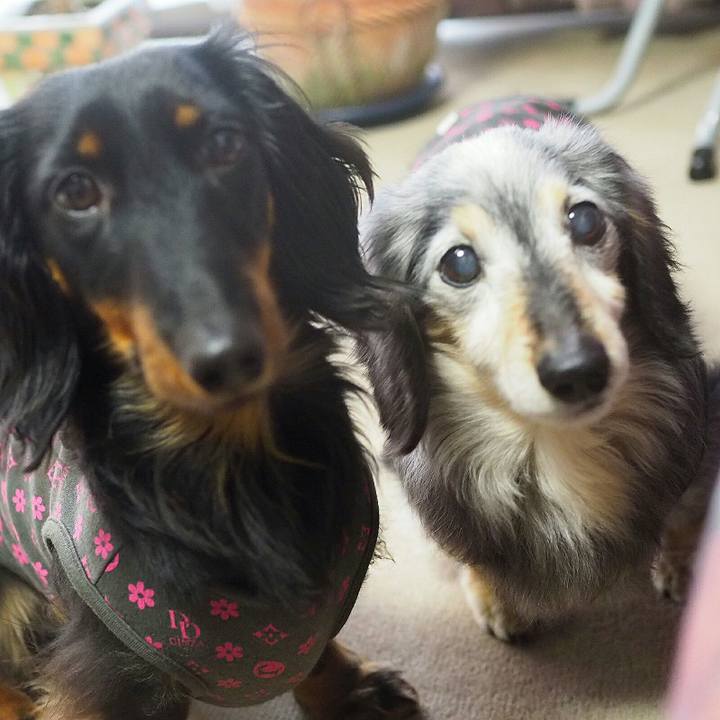 4bfa7061 3388 4531 adeb 886b3cf89451