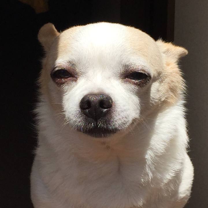 4bfa7f46 0fb4 4411 a3e2 54fd0fea5c08