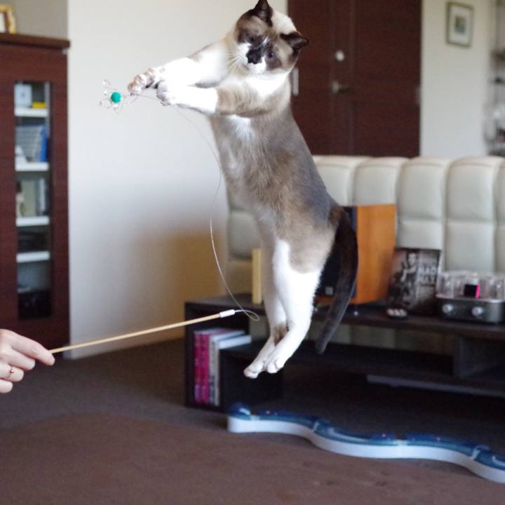 4bfa936f bec9 4956 a955 2a180a83e372