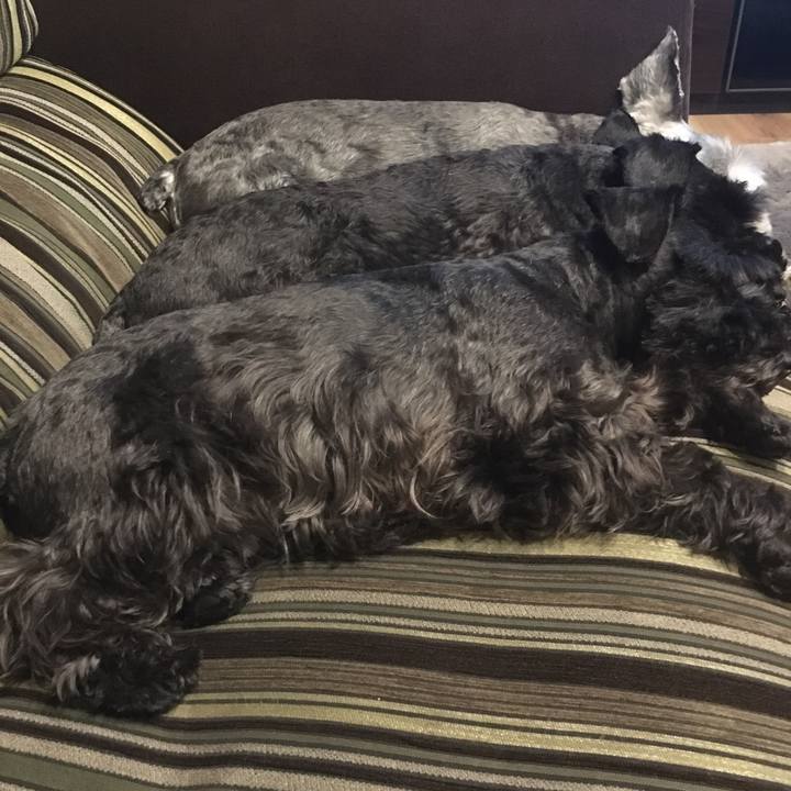 4bfb1ace 7c89 462e 91a3 b84e6fa5babd