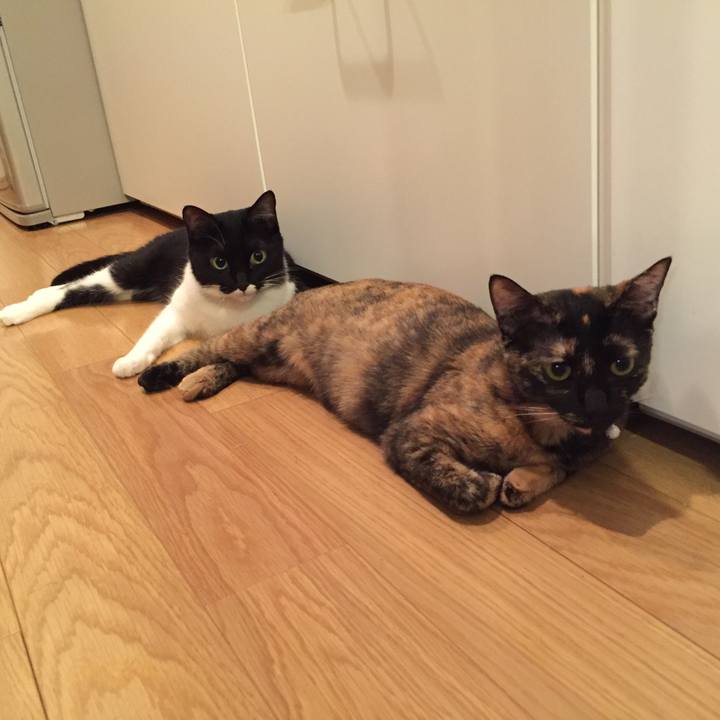 4bfb285c 916b 4cd7 9e90 b5944cbbc682