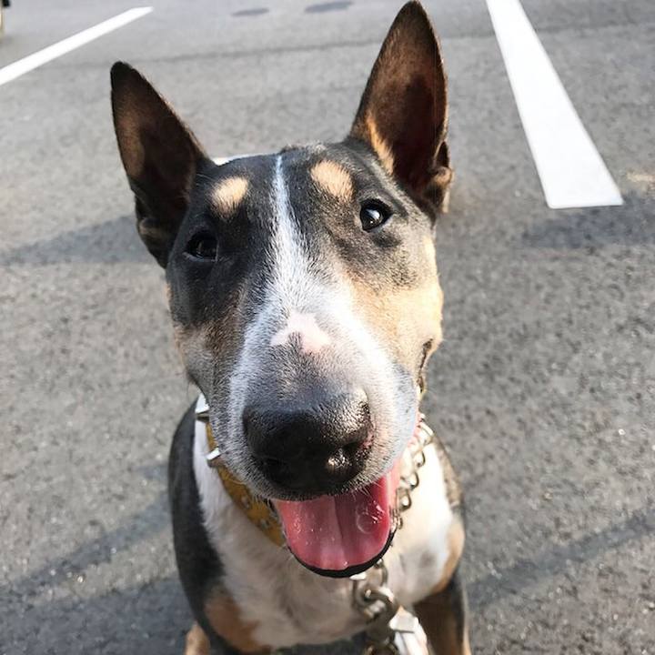 4bfb5727 0e98 4c5e 9015 9856b35e2484