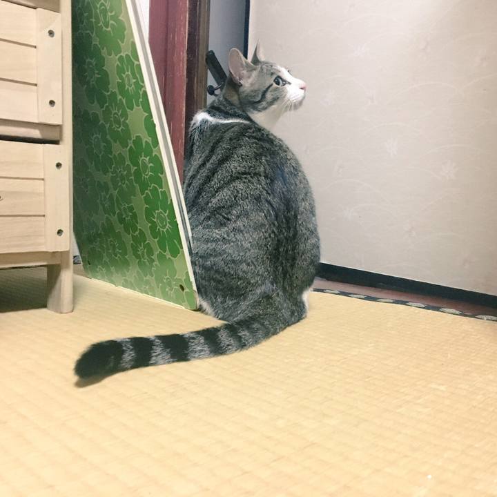 4bfc6c51 16af 4510 a0c1 9274b0393d3e