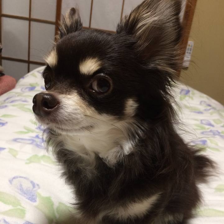 4bfd46cd 12ed 401e 8b60 e82fdd4ec40a