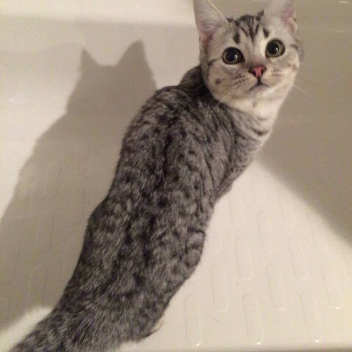 4bfd561a c29e 46d3 9643 799e1513a70d