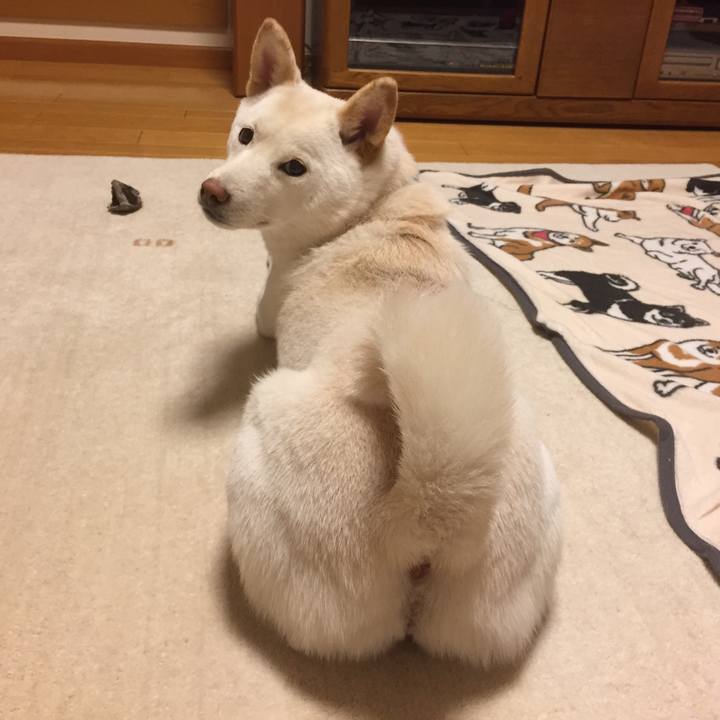 4bfdc799 4bde 47d1 8a8b 5a2ddf71cdfc