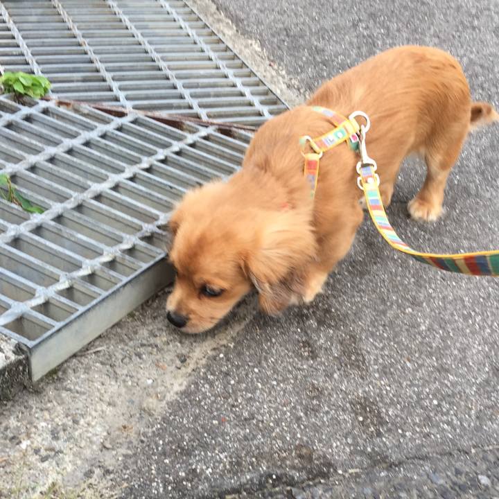 4bfe7bcf 49c5 4ccd 85ab dbfaa4a3173d