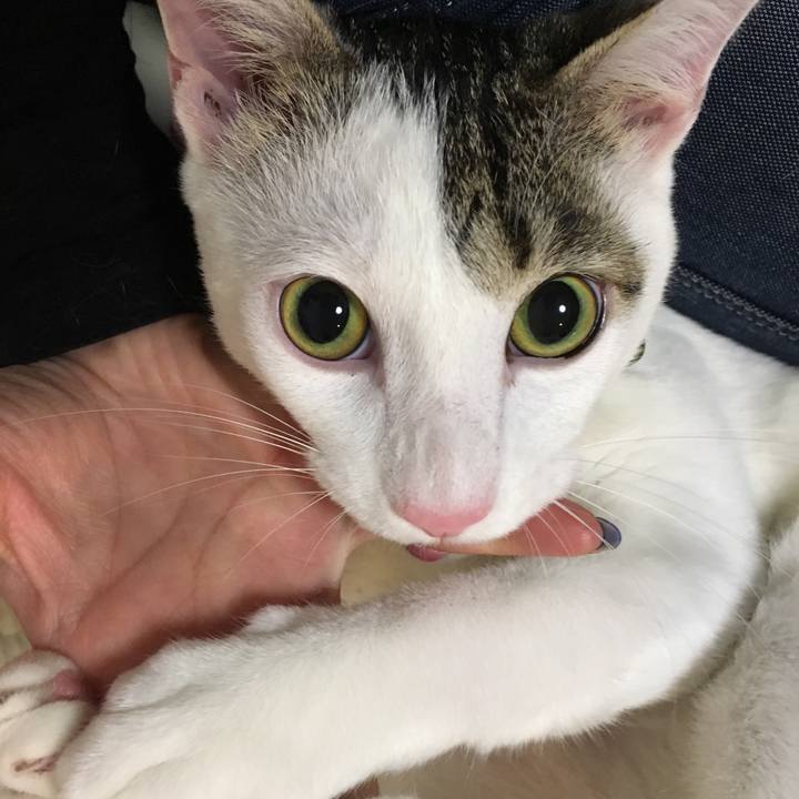 4bfecea2 e4a1 488f 959f 4d4ce36c966c