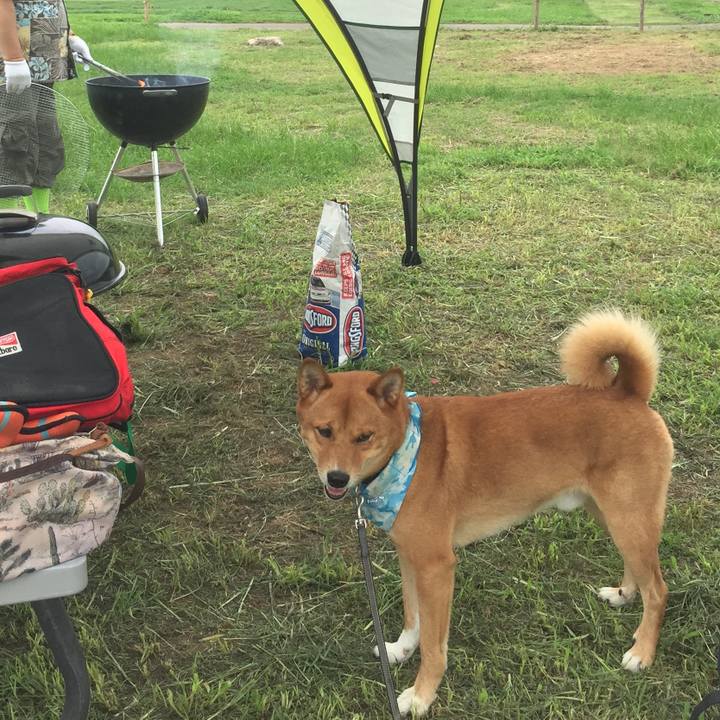 4bfef81d 173c 428b b32f fb28eec599ff