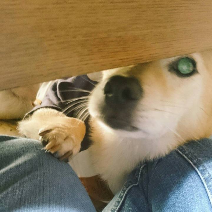 4bff1cba e0ab 412a 9d6a bf8f85877c3a