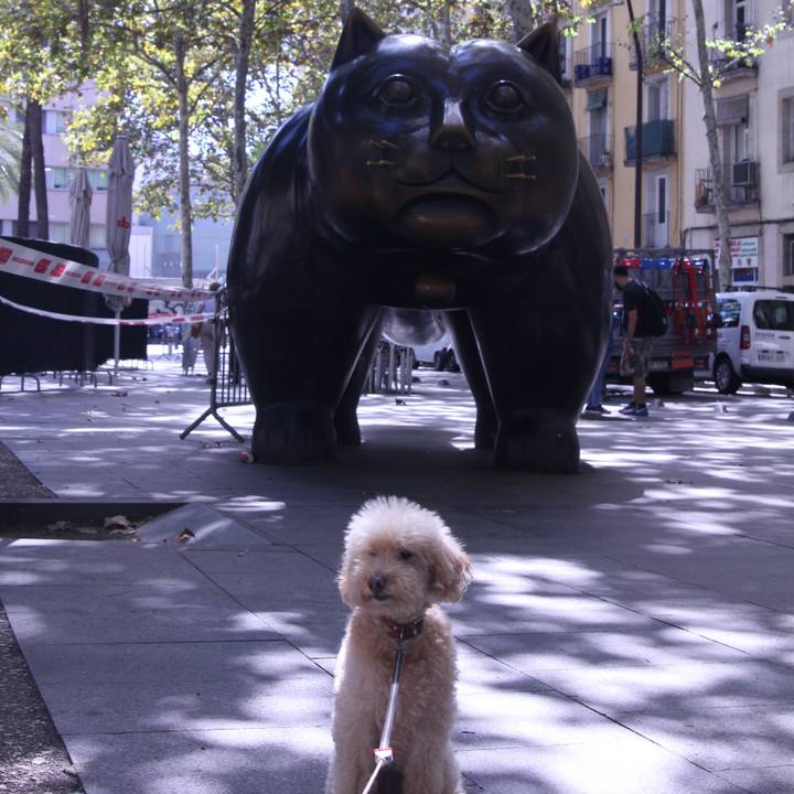 4bffd76f 2bb5 4898 8ae9 4b607b88dc09