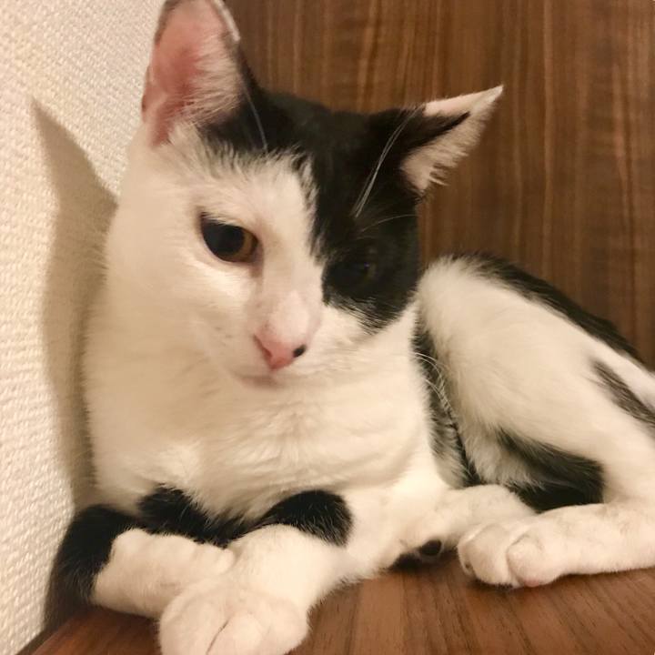 4c0101de af5b 4127 9df6 b5728f7636ea