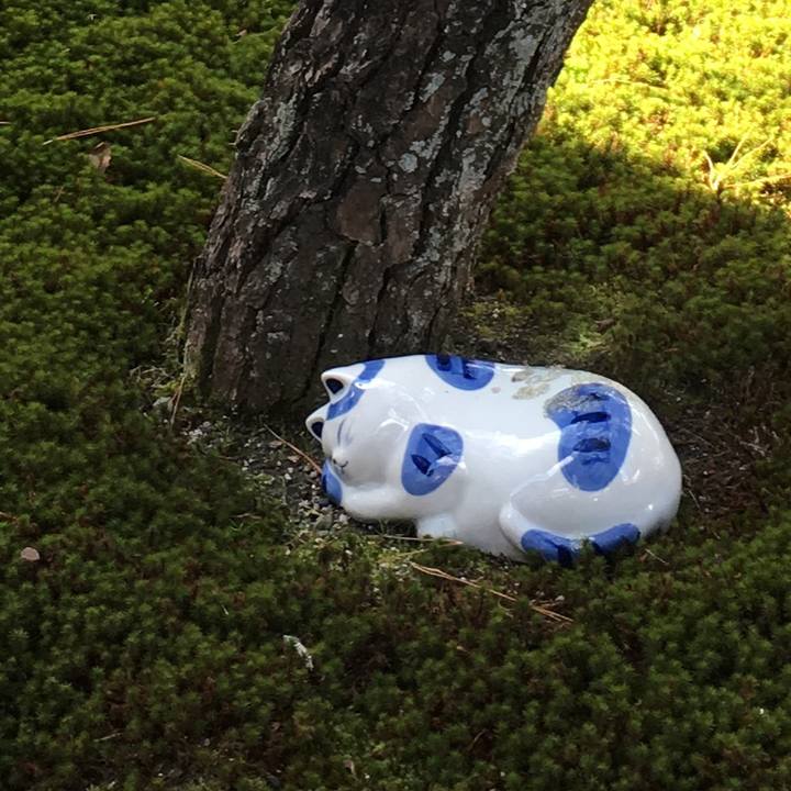 4c015348 594b 4a8d b188 4056368a7d9f