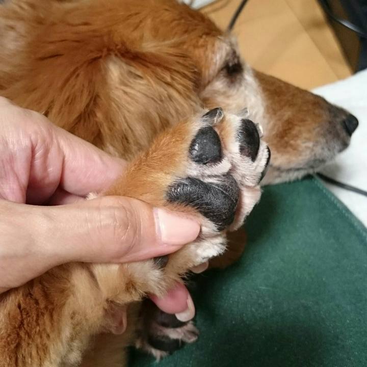 4c01765f ba75 4dc5 98a1 74bcdd4bd518