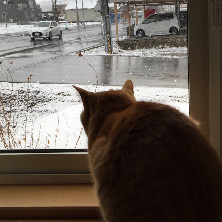 4c02232d 8e7a 46b2 b98c e6cdd13f9a35