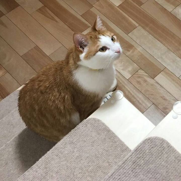 4c02ac1d 7fff 41f1 8c6e 19287c9c528a