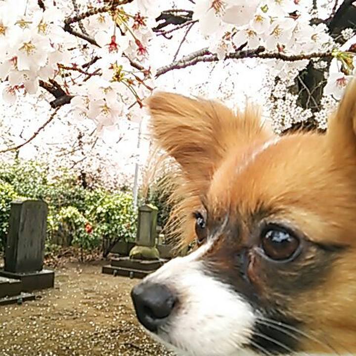 4c02cee5 a12d 48d7 9054 cdd1f99f3d6e