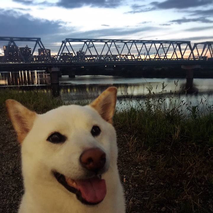 4c02fa5f 30f6 4679 9b93 80fd1ae1bc08