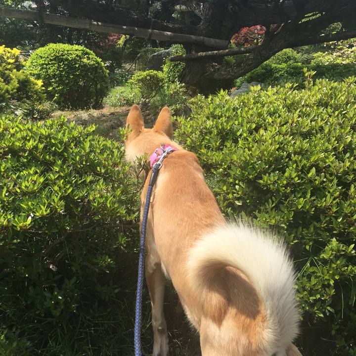 4c030059 0c2e 4ec9 8933 5f1af4c80fbd