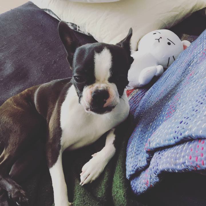 4c033ffa 890d 4848 a133 74240def744d