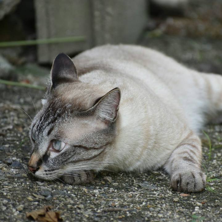 4c039c6a 9ebe 4a36 8bbb e9bc250b25f2