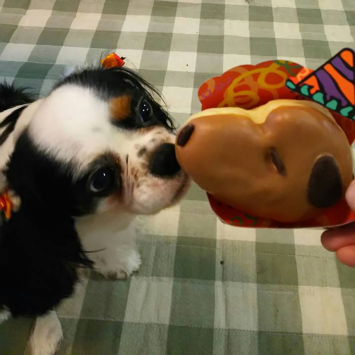 4c03b134 6d59 4d6f 9ac4 de9061961566