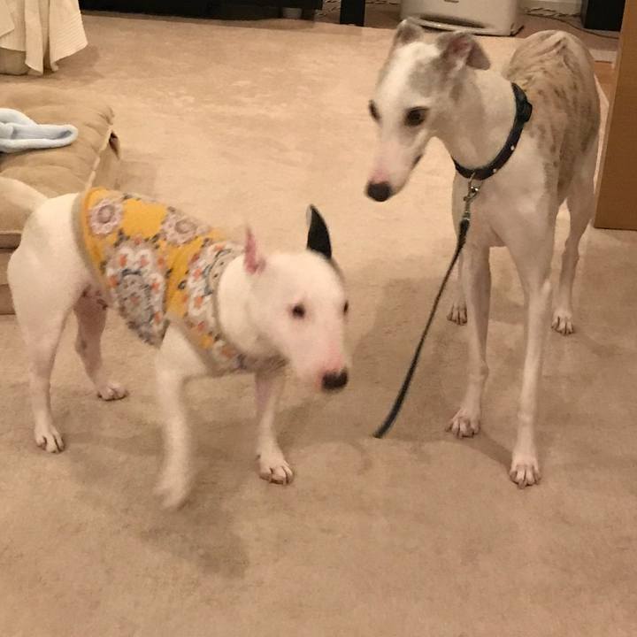 4c04b024 75ac 453a 996e 995925de5290