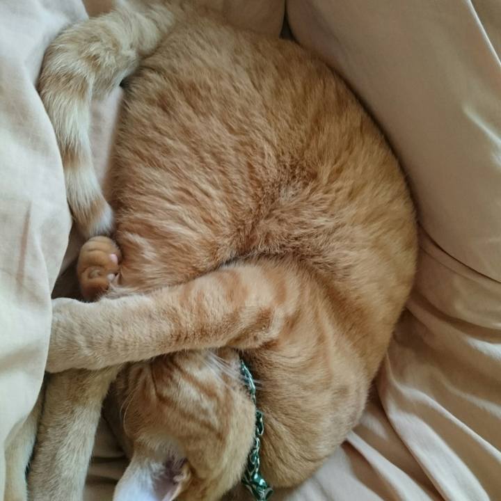 4c04d3f7 1f50 410b 9603 7b856ff03075