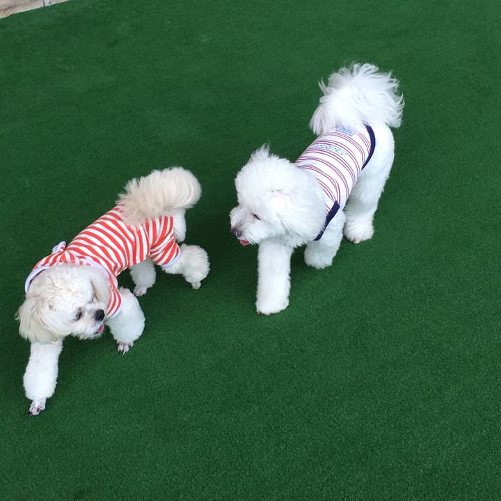 4c05214c cc9d 498a a450 3e89b36ca89c